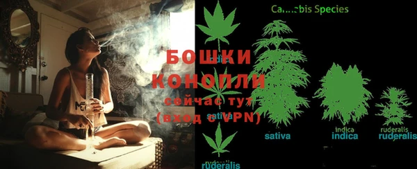 стафф Козельск