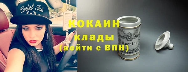 соль ск Козловка