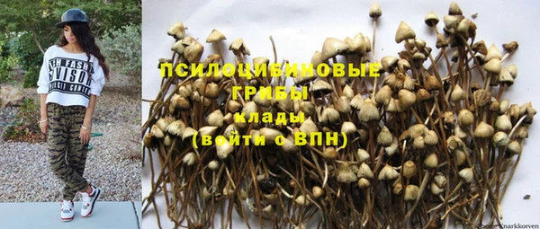 стафф Козельск