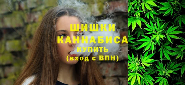 соль ск Козловка