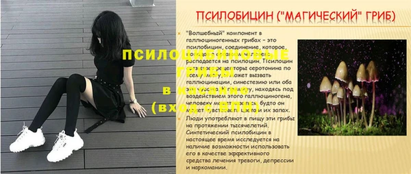 соль ск Козловка